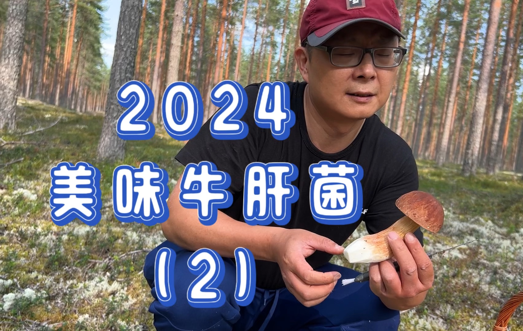 2024美味牛肝菌第二弹哔哩哔哩bilibili