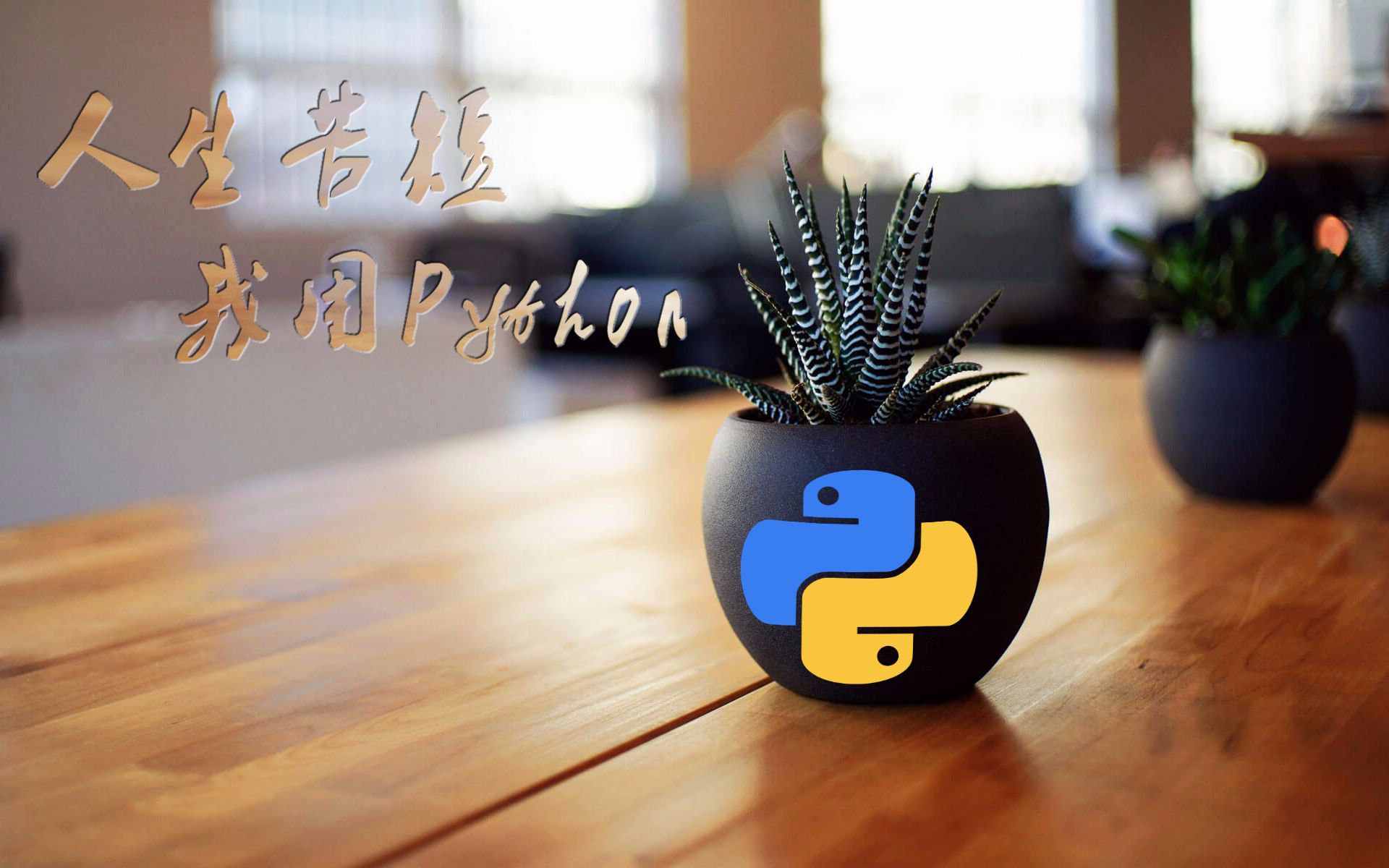 Python实战教程:利用Python简单制作一款桌面翻译软件哔哩哔哩bilibili