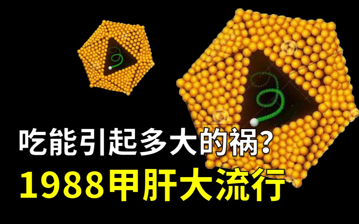 因为吃一种食物,1988年上海31万人感染甲肝!【病毒16】哔哩哔哩bilibili