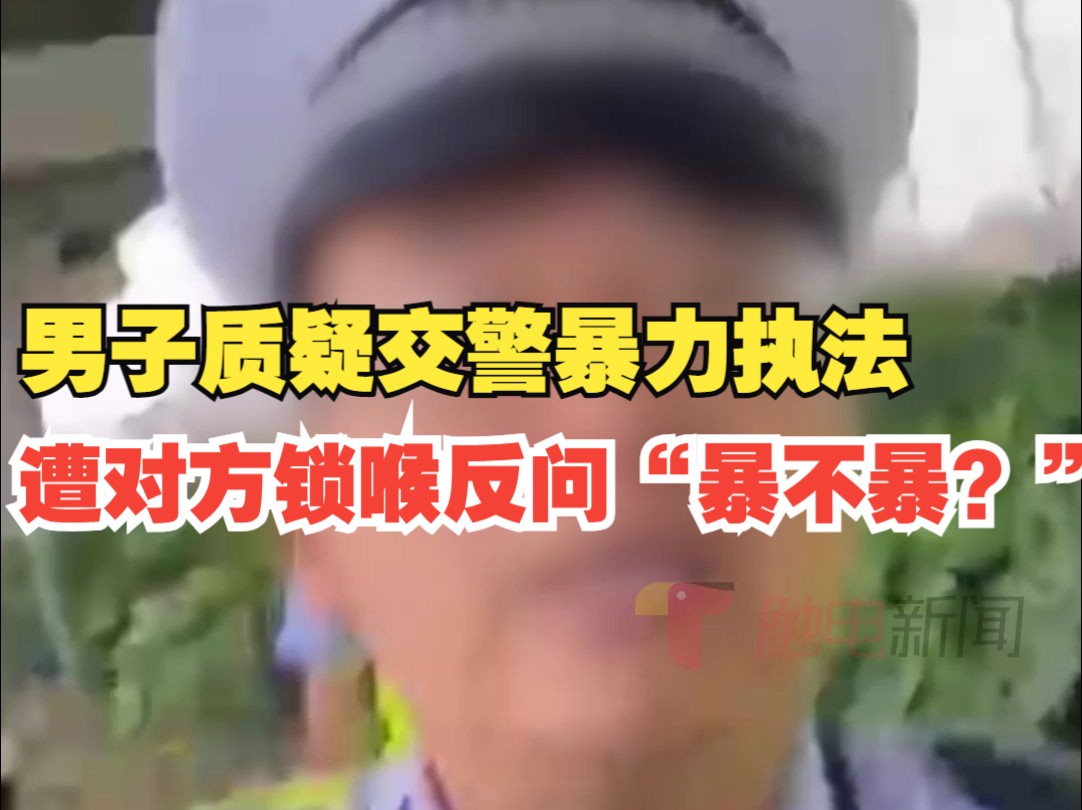 男子质疑交警暴力执法遭对方锁喉反问“暴不暴?” ,乐清公安:民警行为不当已停职哔哩哔哩bilibili