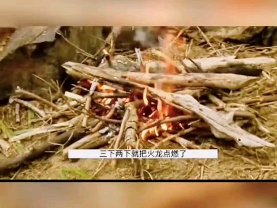 没有食物和水,亚瑟和美女艾啦全身马赛克挑战荒野求生21天哔哩哔哩bilibili