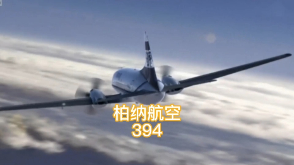 柏纳航空394号班机空难撕碎了资本家的丑恶嘴脸哔哩哔哩bilibili