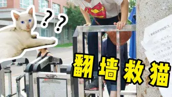 全b站第一个靠救猫上电视的up主 撒花 哔哩哔哩 Bilibili