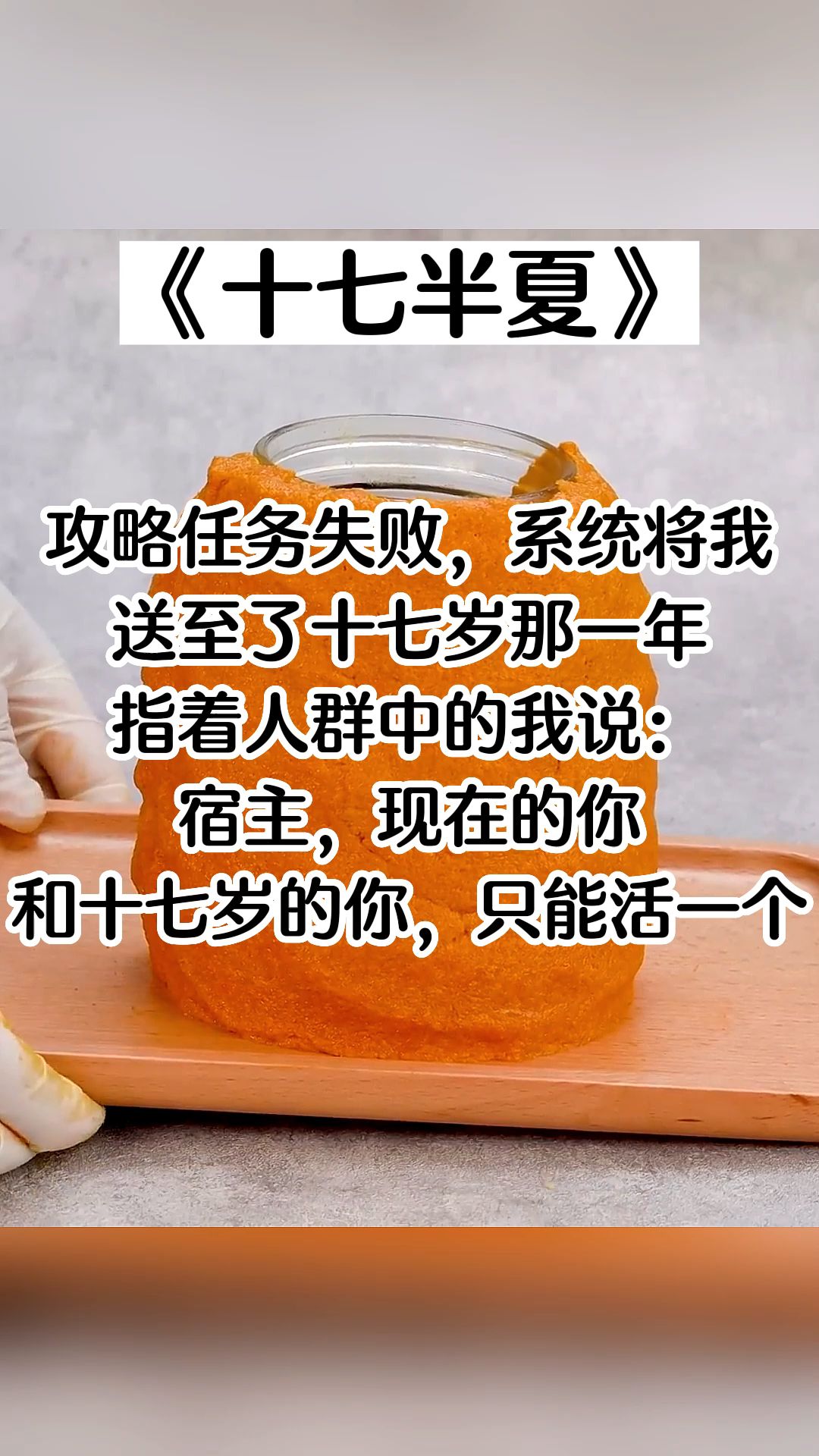 【知呼小说-十七半夏】宿主,现在的你和十七岁的你,只能活一个