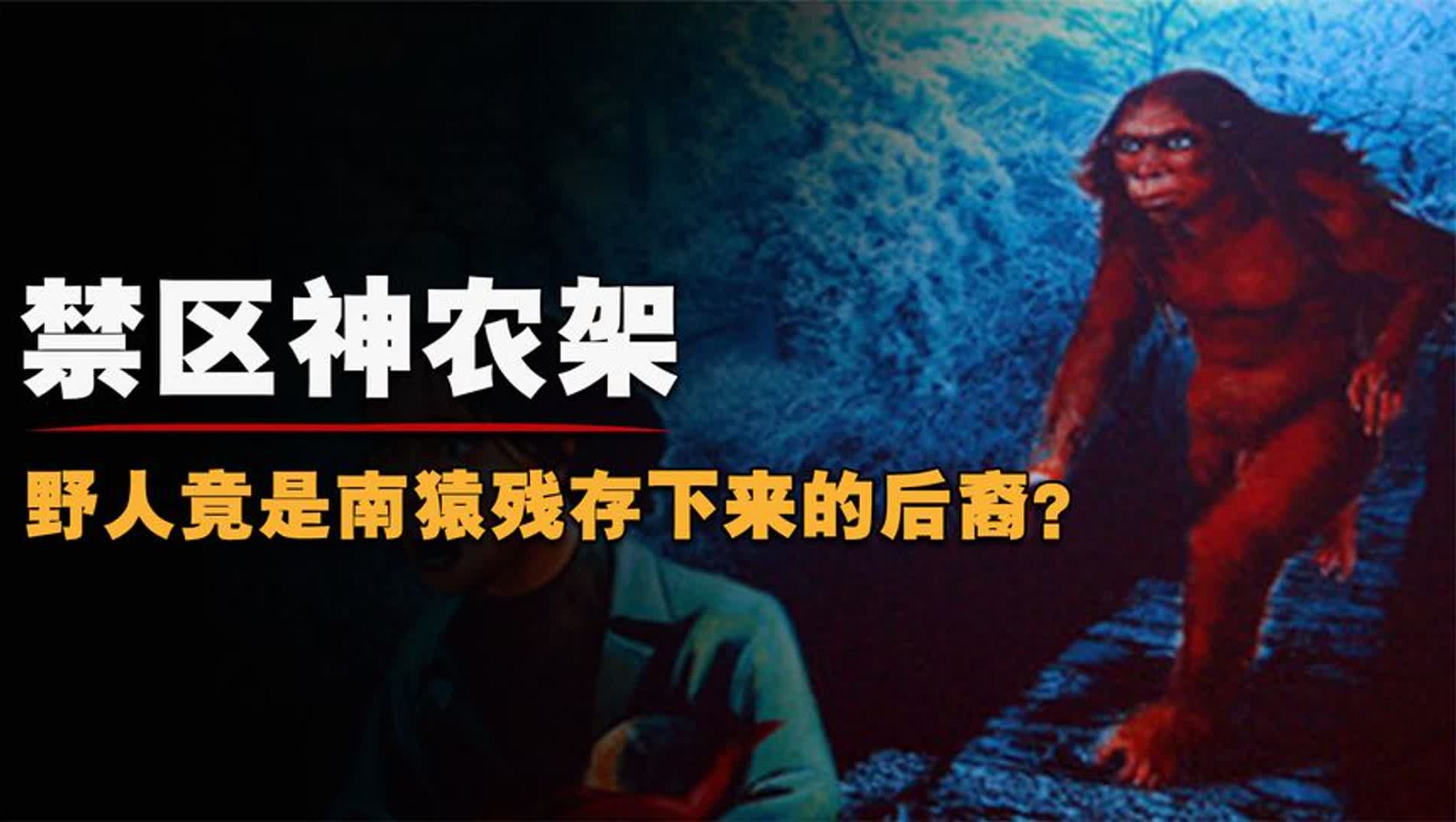 神农架野人真的存在?村民上山竟发现野人踪迹,引来专家鉴定真相哔哩哔哩bilibili