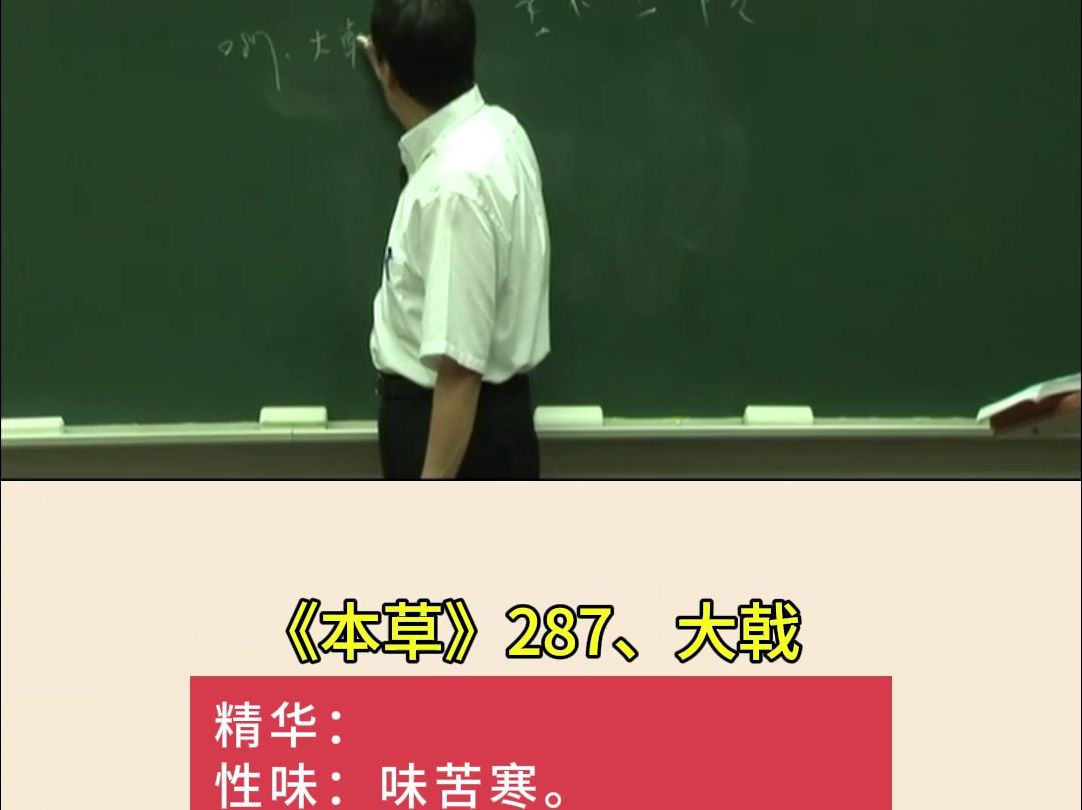 神农本草287、大戟哔哩哔哩bilibili