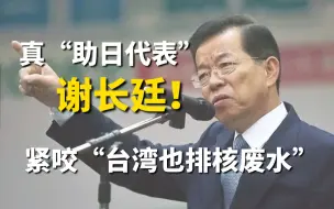 真“助日代表”谢长廷！紧咬“台湾也排核废水”！