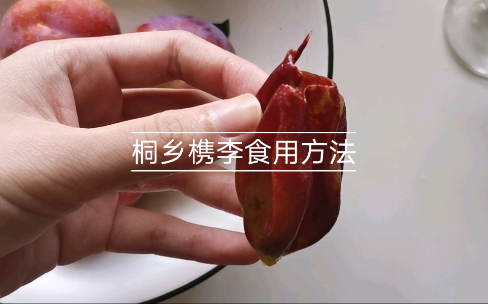 桐乡槜李食用方法哔哩哔哩bilibili