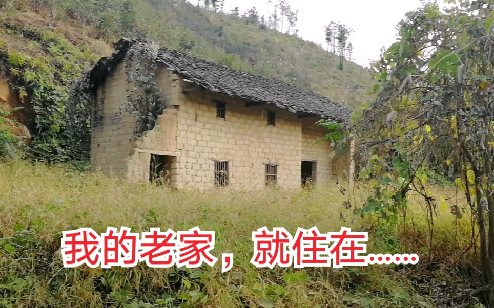 农村随拍:up小时候住的地方,已经被杂草包围了哔哩哔哩bilibili