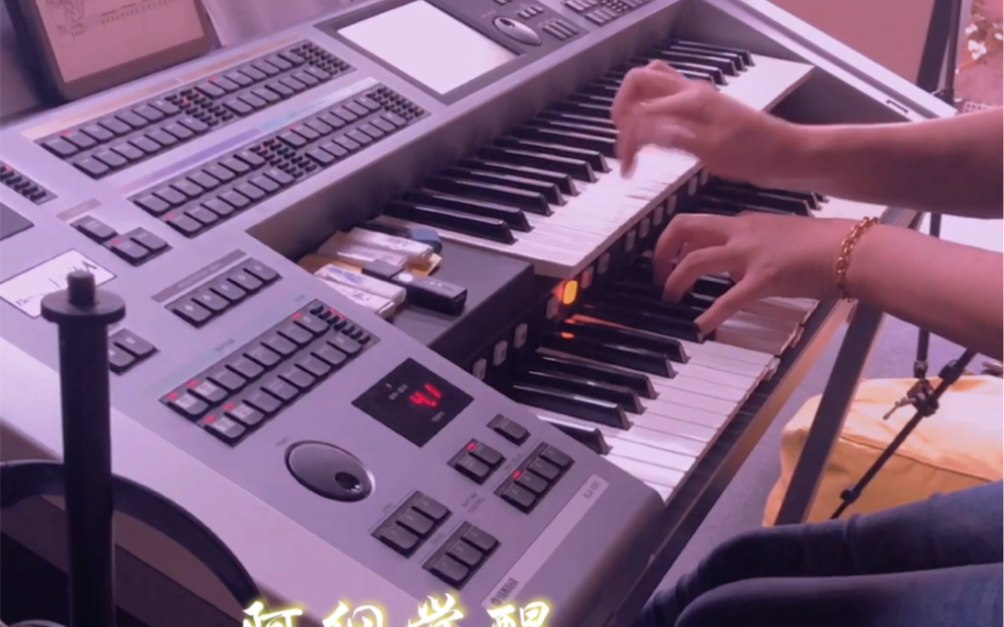 双排键 阿纲觉醒