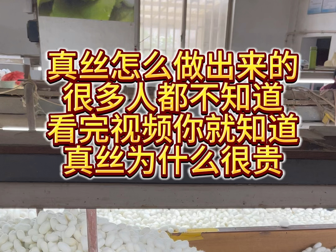 真丝怎么做出来的,很多人都不知道,看完视频你就知道,真丝为什么很贵#真丝 #桑蚕丝#真丝面料 #桑蚕丝面料 #真丝知识哔哩哔哩bilibili