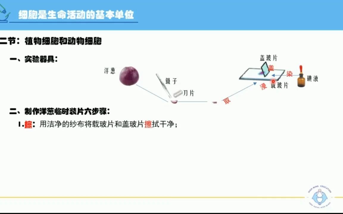 06植物细胞哔哩哔哩bilibili