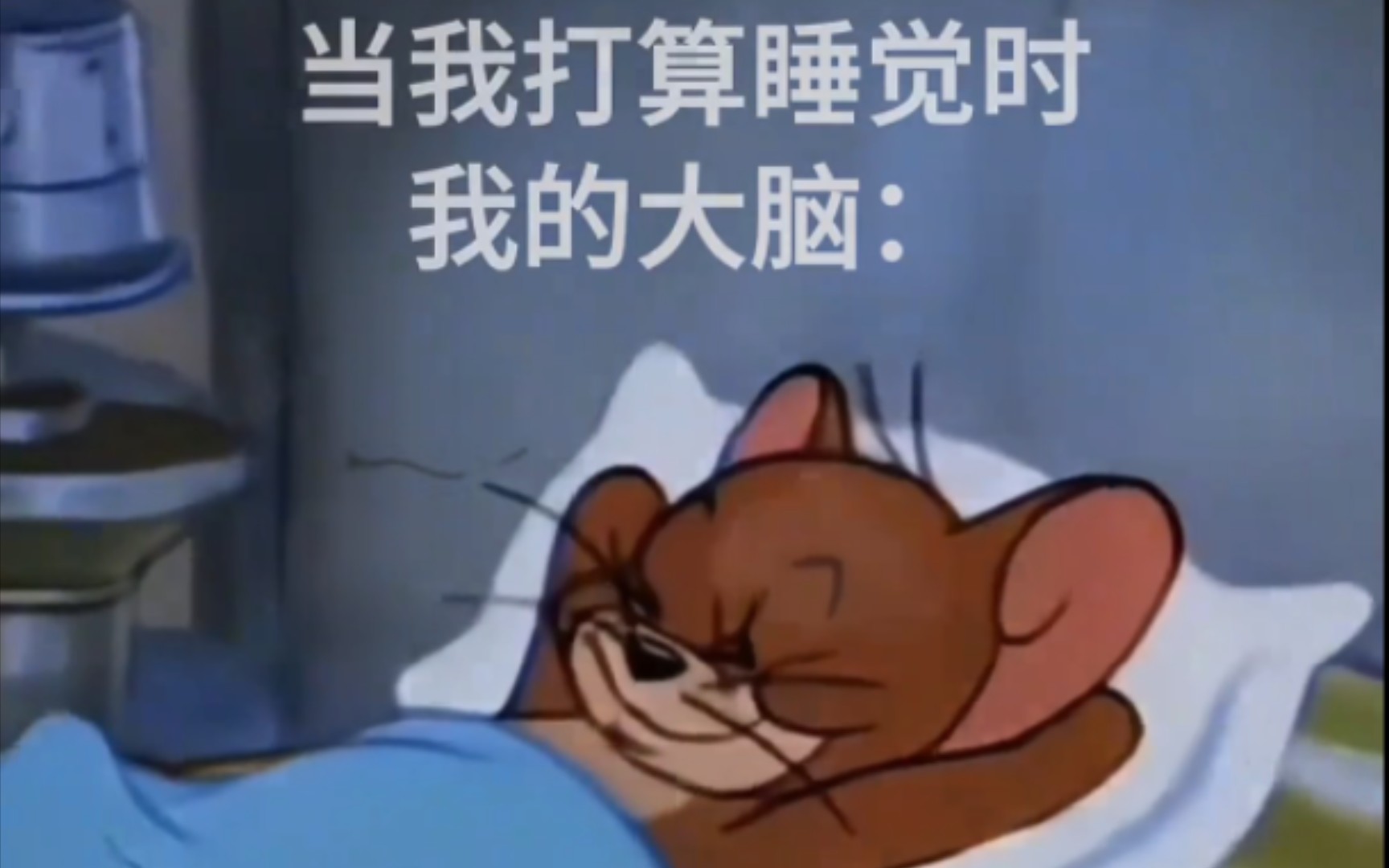 柚子厨睡觉前大脑里都是什么东西啊