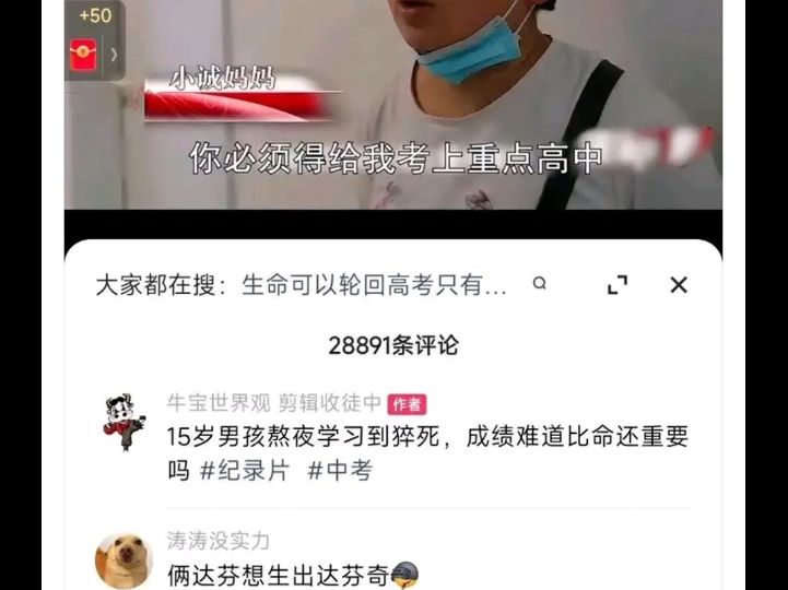 龙生龙,凤生凤哔哩哔哩bilibili