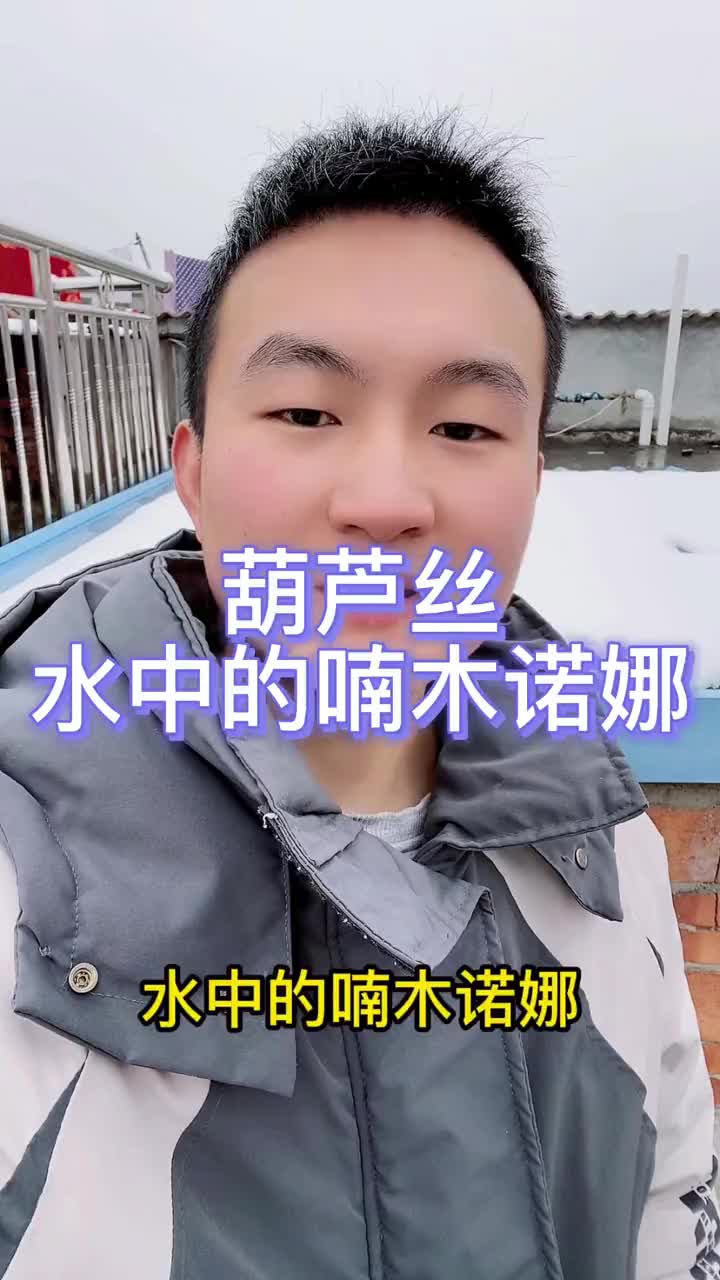 葫芦丝教学 葫芦丝 简谱 乐器演奏 九孔葫芦丝 葫芦丝的经典曲目《水中的喃木诺娜》哔哩哔哩bilibili