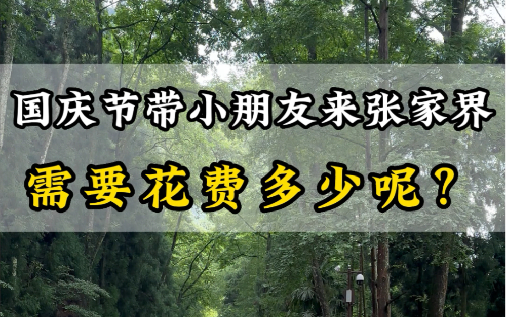 国庆节期间带小朋友来张家界需要花多少钱?吃饭住宿需要花多少?看完您就知道了#张家界天门山 #张家界旅游攻略 #张家界旅游哔哩哔哩bilibili