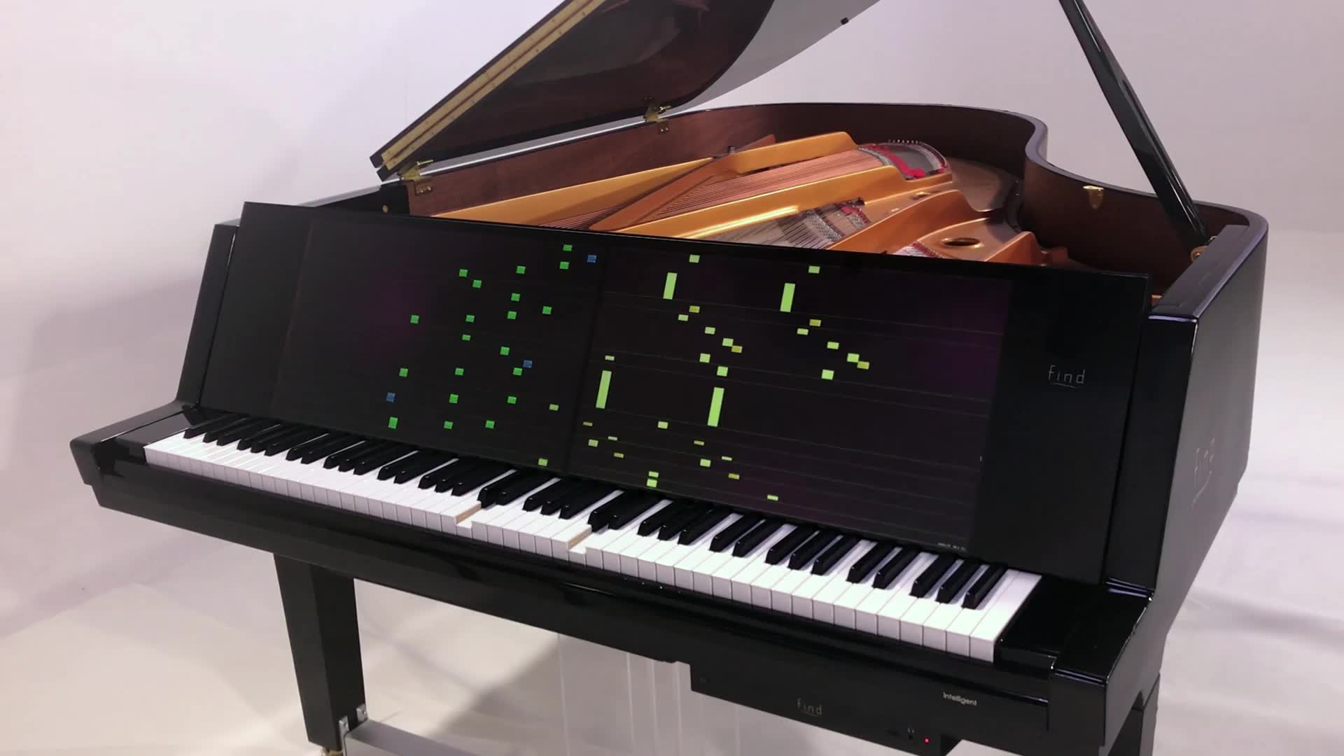 一朵野花在旷野中,平凡,自由,寂寞……find智慧钢琴演奏版《野花》