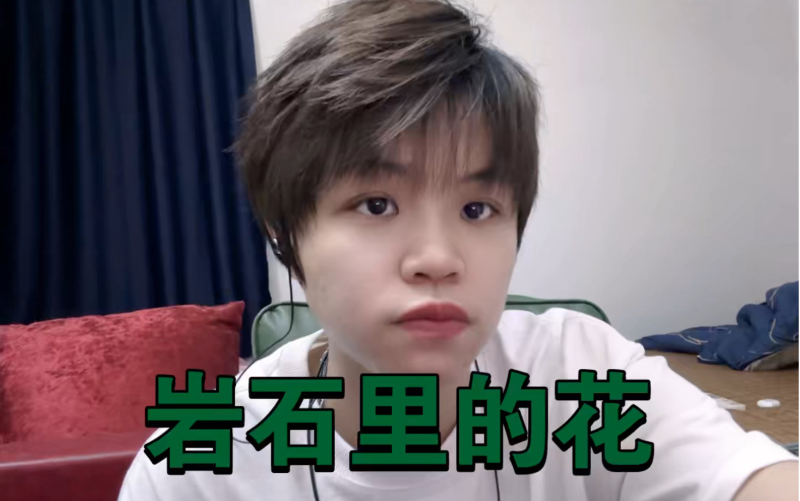 e.m.邓紫棋《岩石里的花》