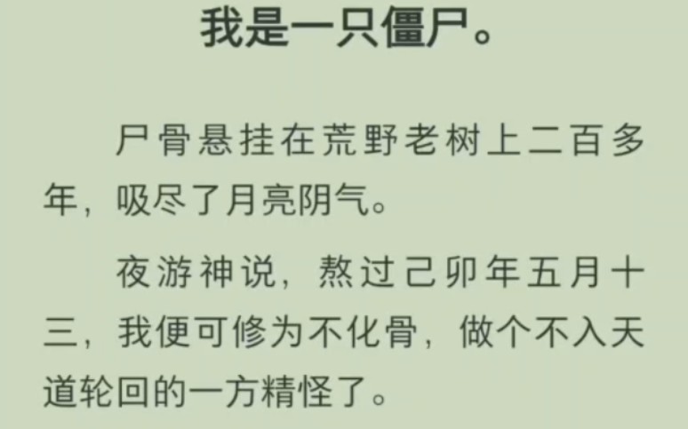 我是一只僵尸,不日就可修成不化骨.谁想过路的探花郎把我的尸骨入殓,好心办坏事哔哩哔哩bilibili