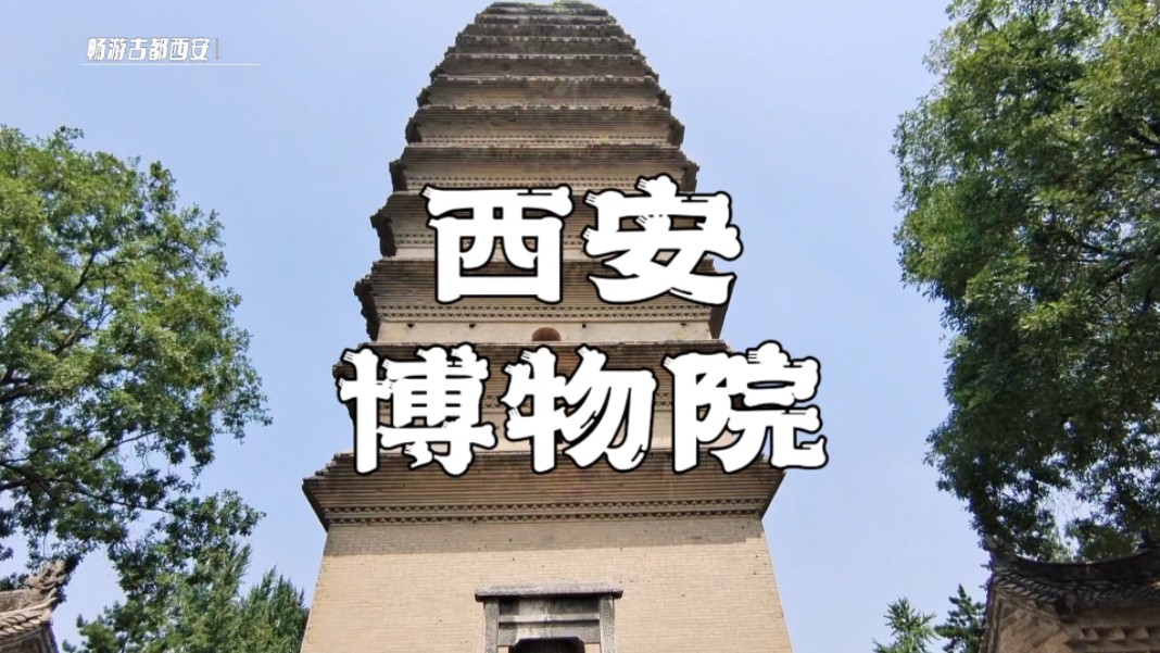 赶紧来西安博物院,门票好预约,人也少.