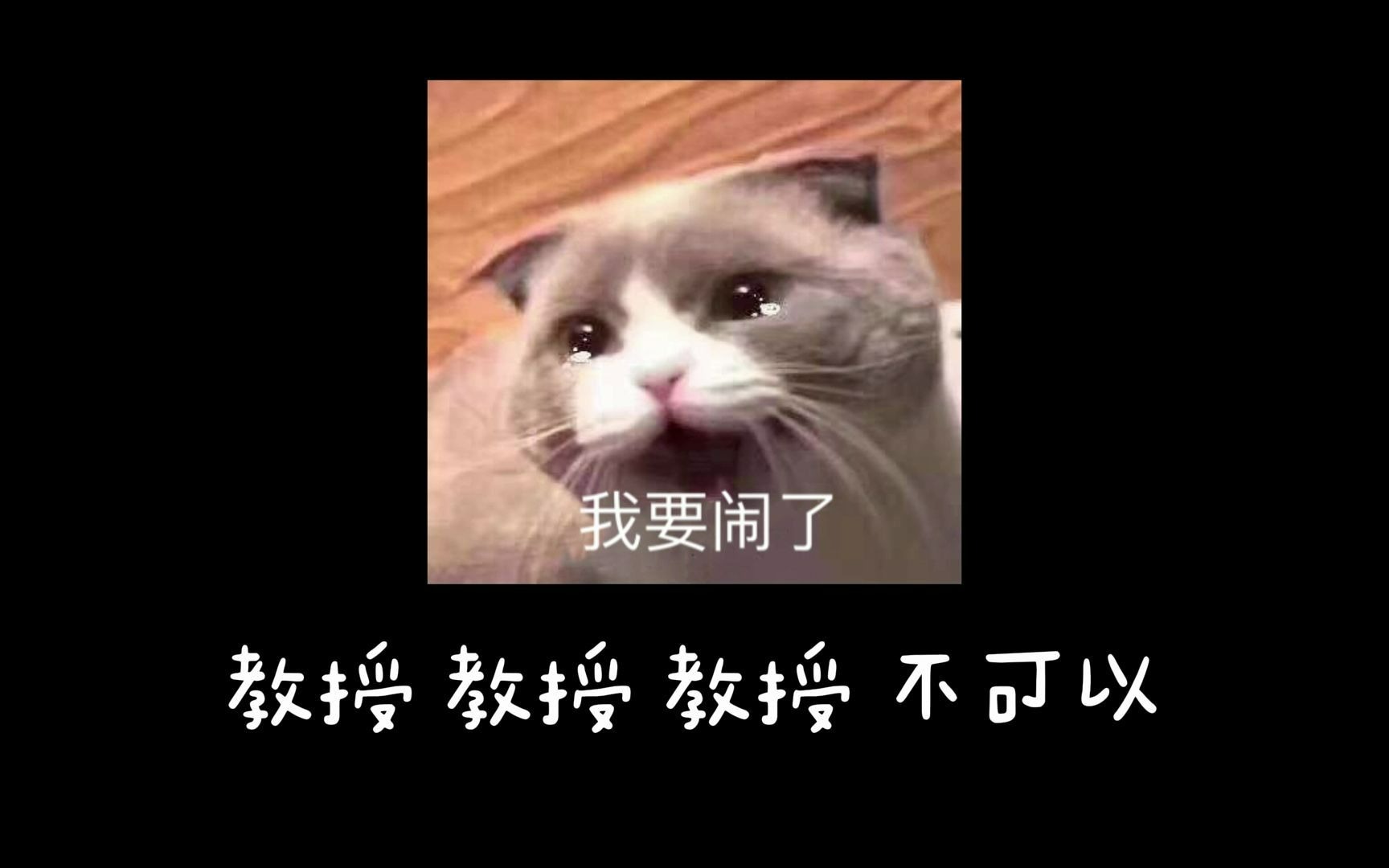 《教授不可以》哔哩哔哩bilibili