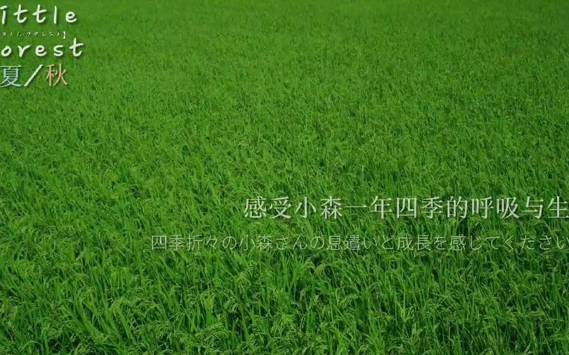 [图]【小森林·夏秋篇】【治愈】自剪一分钟预告