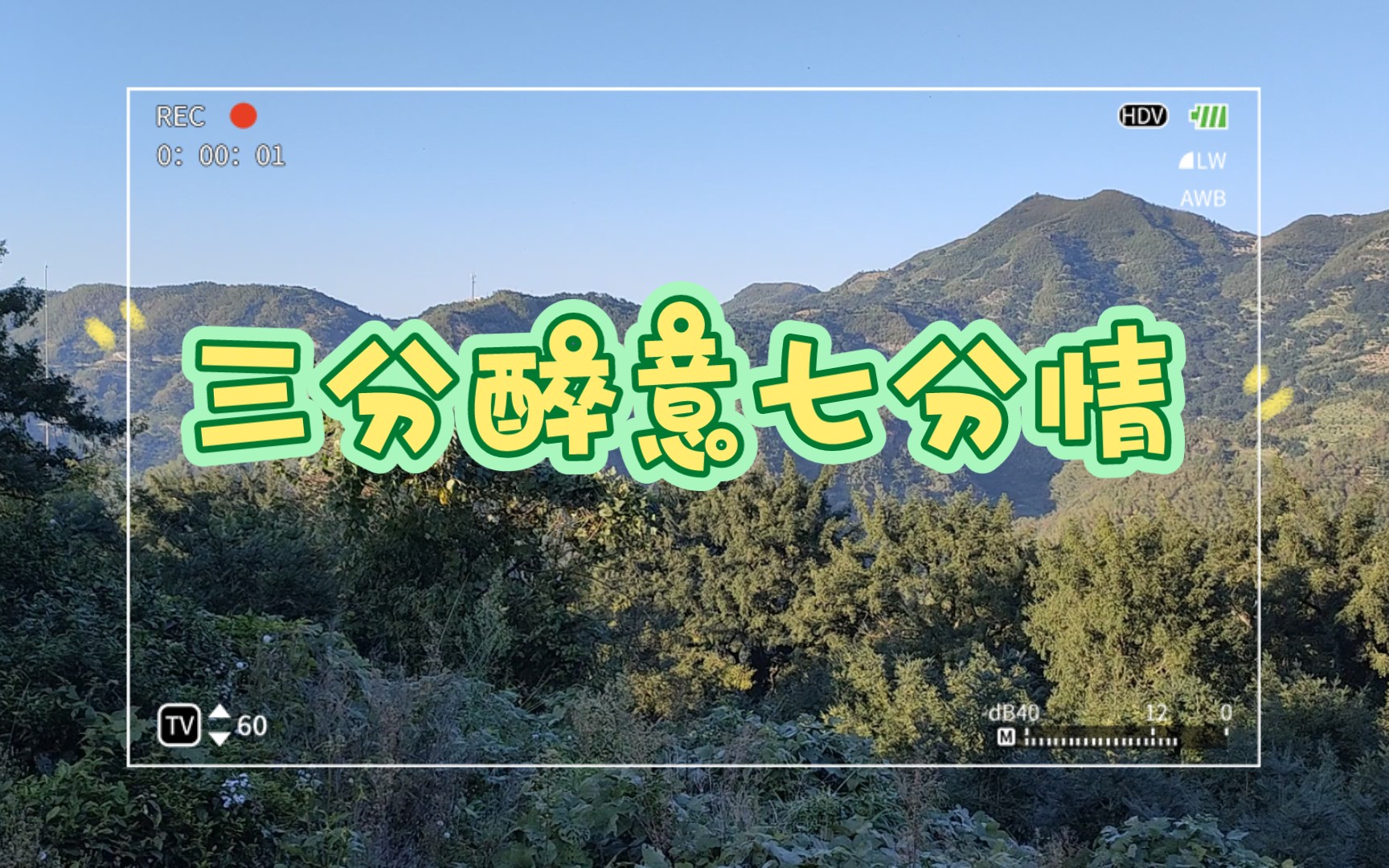 【半音阶口琴】三分醉意七分情.