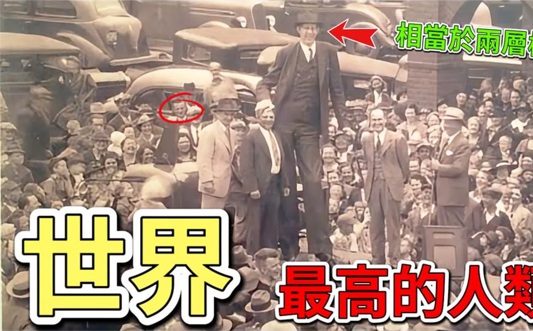 世界上最高的十一个人,你敢相信吗?第一名的巨人竟然有两层楼高