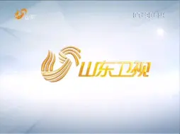 Télécharger la video: 山东卫视2013包装1分11秒