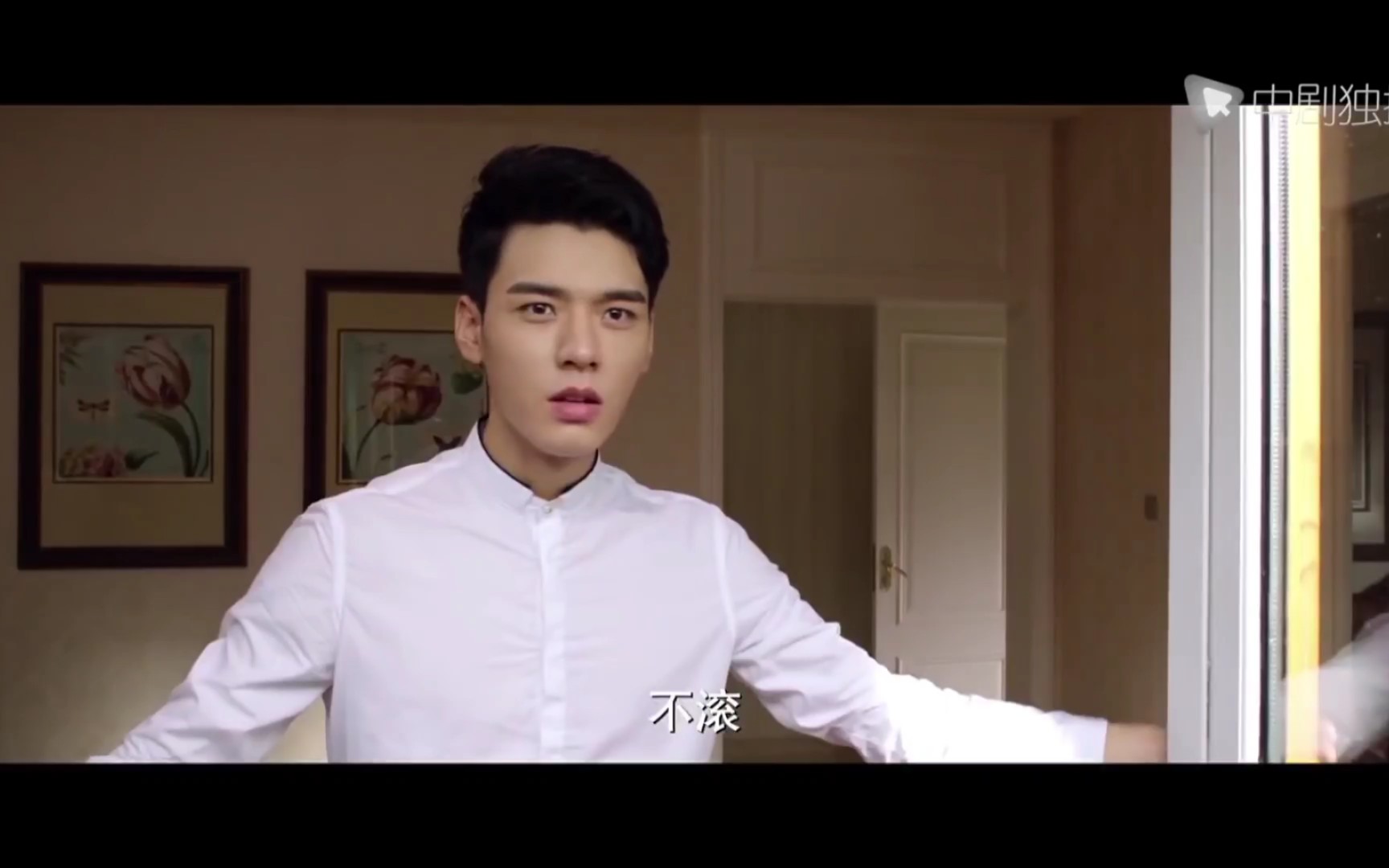 盛势 6.夏小妖教鹩哥骂大粽子,大粽子也有鹩哥回击