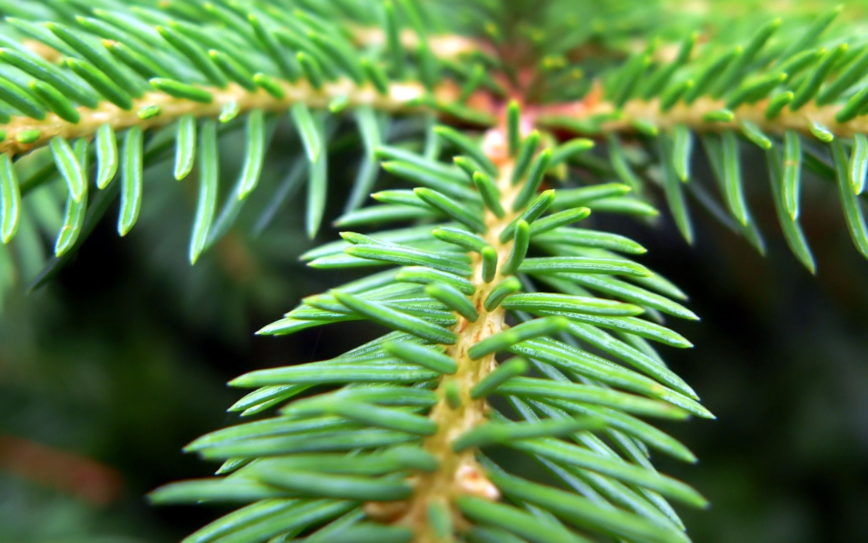 韩佳彤:电影剧本写作实训营 第一阶段-1