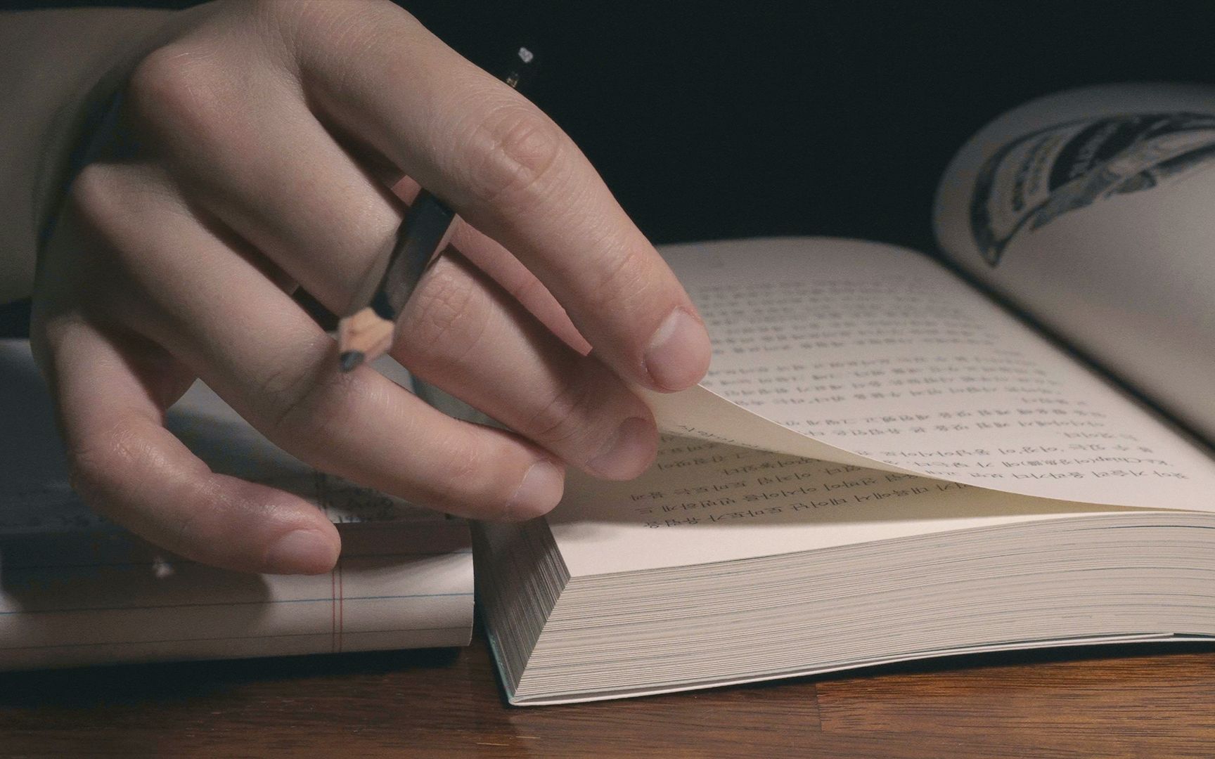 【anz助眠】读书的窃窃私语.