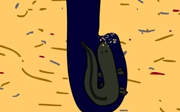 2021热搜为什么非洲肺鱼不吃不喝可以存活四年?