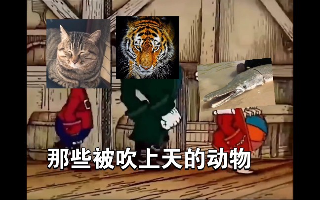 动物圈刻板行为大赏