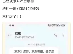 Descargar video: 京东泄露客户信息客服处罚结果：扣除10%绩效，培训一周，爆赞啊！真是太严厉了