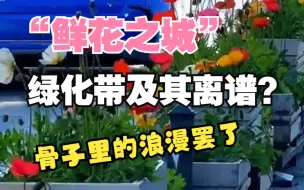 下载视频: “鲜花之城”离谱且浪漫的绿化带