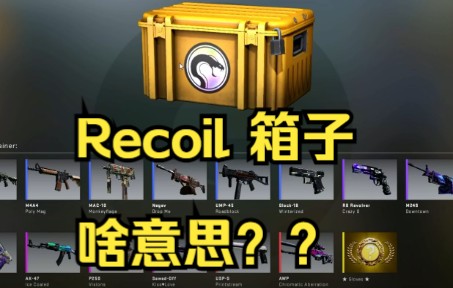 CSGO新箱子"Recoil"是啥意思??CSGO