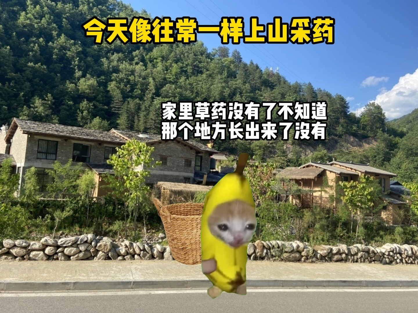 青山处处埋忠骨,何须马革裹师还”哔哩哔哩bilibili