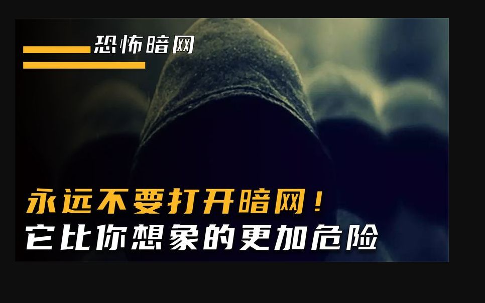 永远不要打开暗网!这里的“恶”你根本承受不住,记住永远不要!哔哩哔哩bilibili