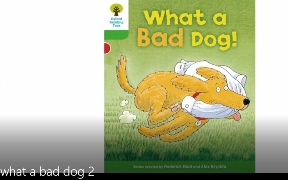 [图]牛津树双语绘本故事《what a bad dog 2》