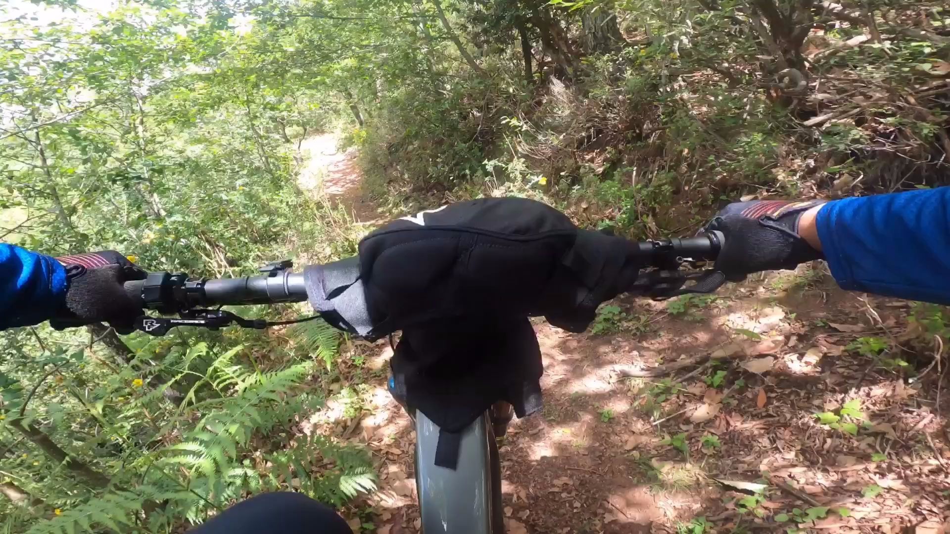 骑行大理州云龙县天子山保护区Dali Enduro yt decoy EBIKE电助力 耐力穿越骑行户外运动越野山地车哔哩哔哩bilibili