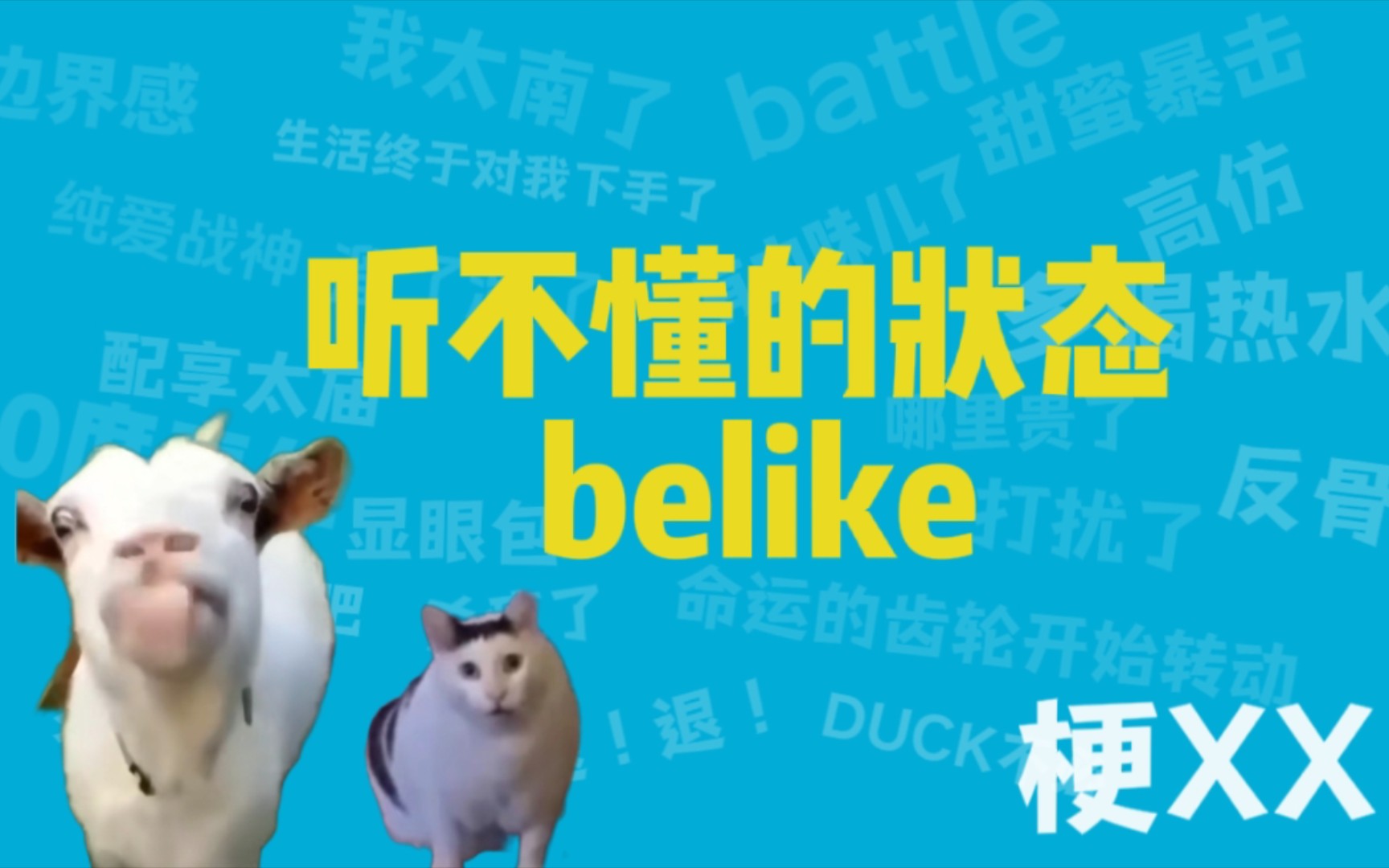 听不懂的状态belike是什么梗哔哩哔哩bilibili