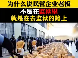 Tải video: 为什么民企老板不是在去监狱就是去监狱的路上