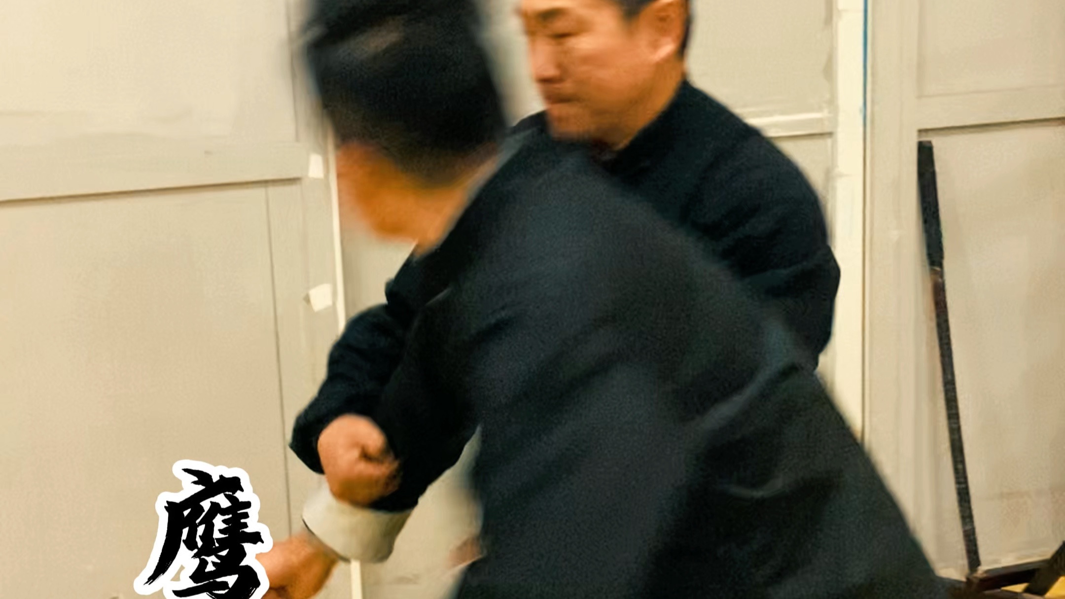 #形意拳 七十二绝技 乌鸦俯卧#车派形意拳 古拳法 古法练功#国术传承 鹰形捉拿之技 龙形折身之功哔哩哔哩bilibili