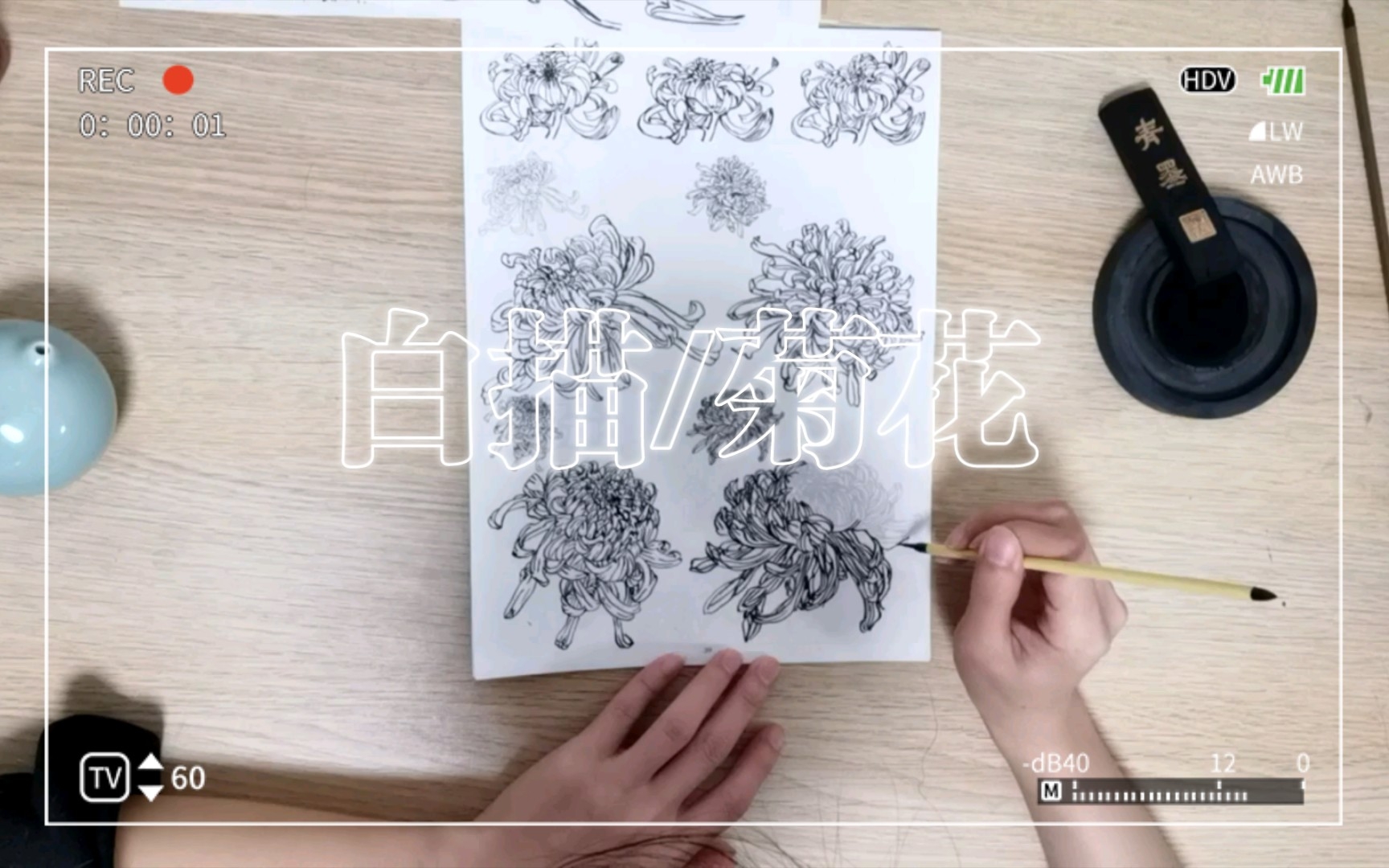 【独自打卡】第十一天 工笔画白描梅兰竹菊之菊 画画使人快乐哔哩哔哩bilibili