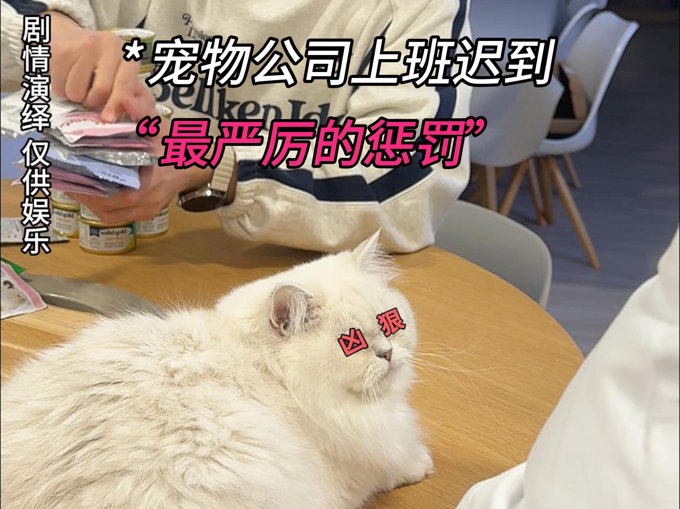 宠物公司上班迟到的惩罚!