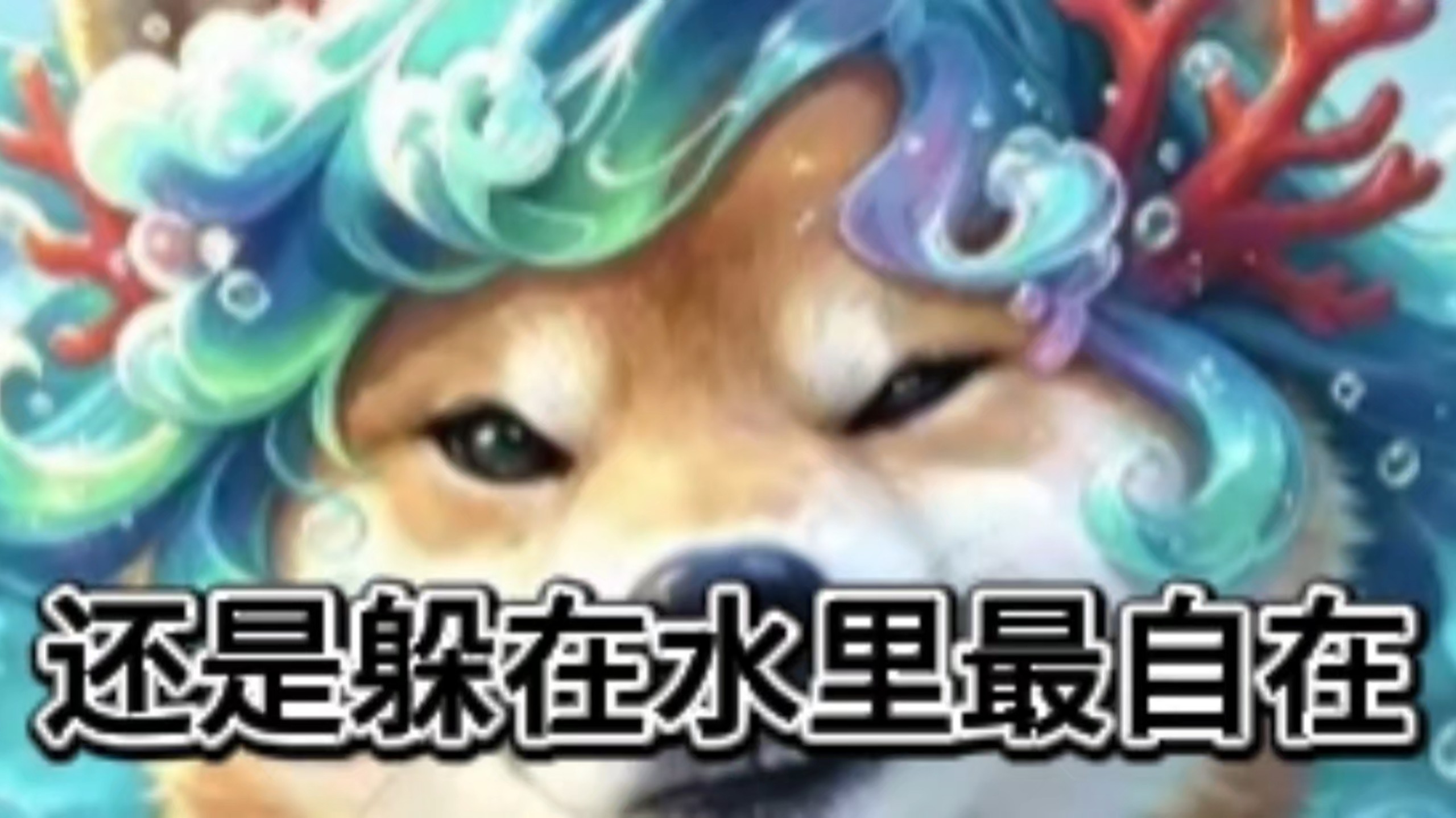 还是躲在水里最自在