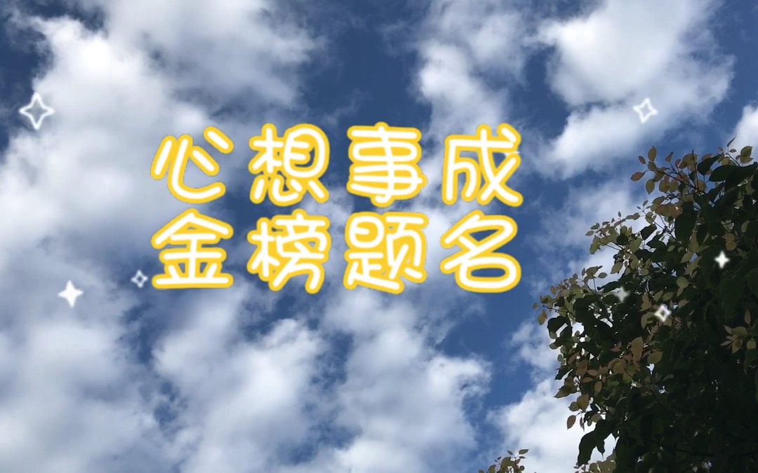 日常小故事:牵一发而动全身哔哩哔哩bilibili