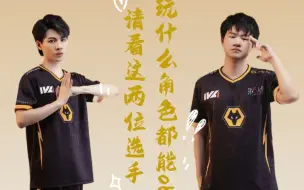 Download Video: 【ivl夏季赛成都wolves VS wbg】主播ob小果冻487战斗机械和战斗心理