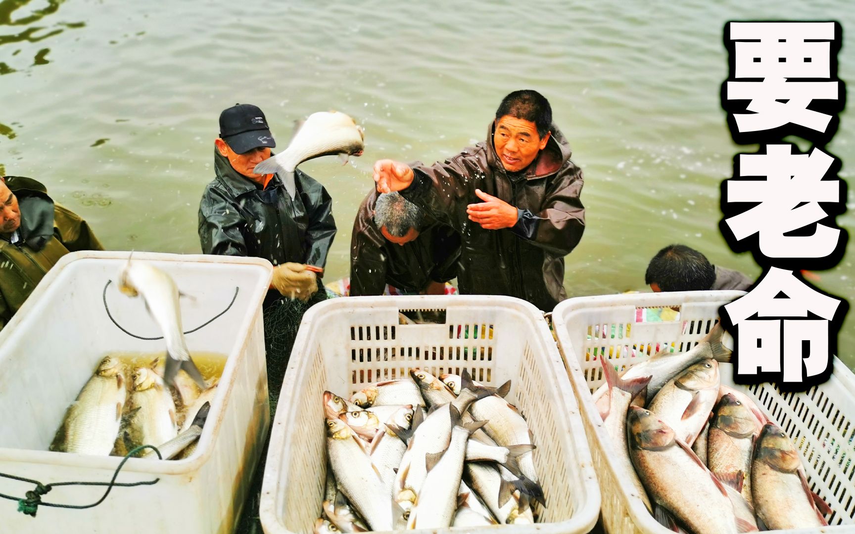 人工拉鱼搞死人注定消失的行业